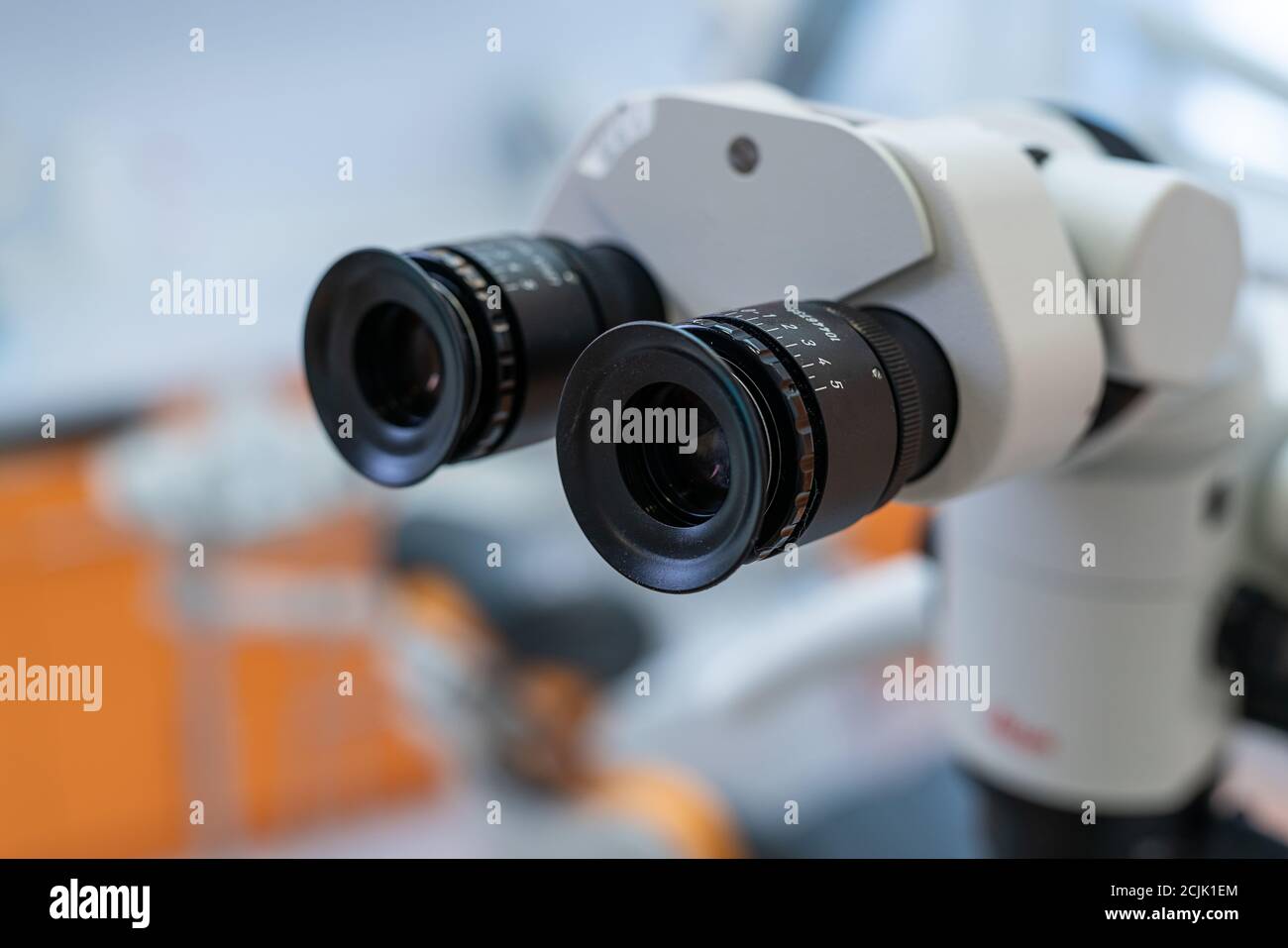 The image of the professional Dental endodontic binocular microscope