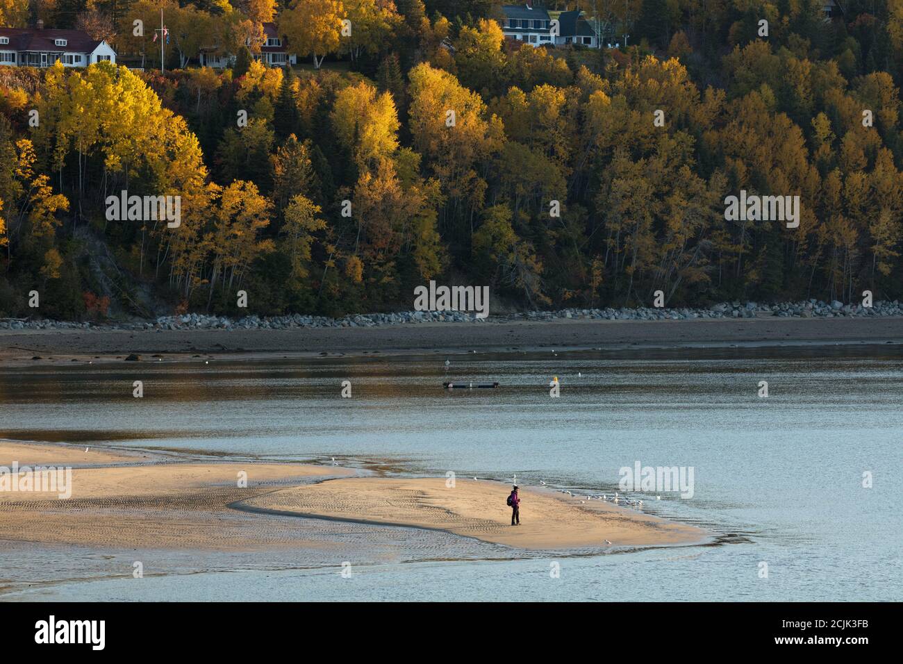 Wendy whale-spotting, Tadoussac, Quebec, Canada Stock Photo