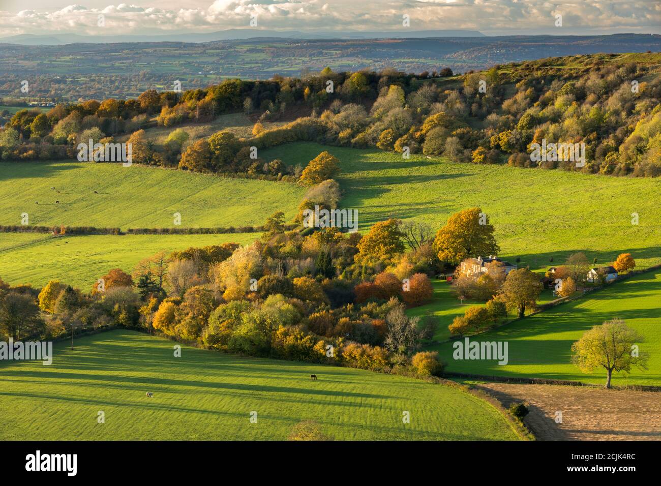 Autumn colours in the Cotswolds near Uley, Gloucestershire, England Stock Photo