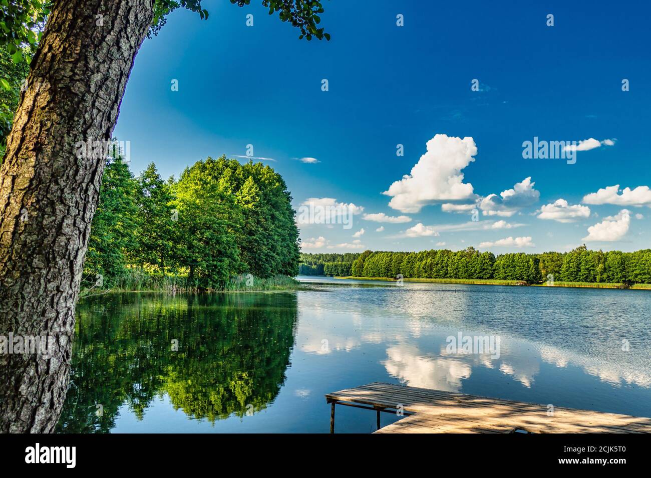 Sunny Summer Landscape With Blue Sky and White Clouds. Countryside Lake and Forest Panorama Stock Photo