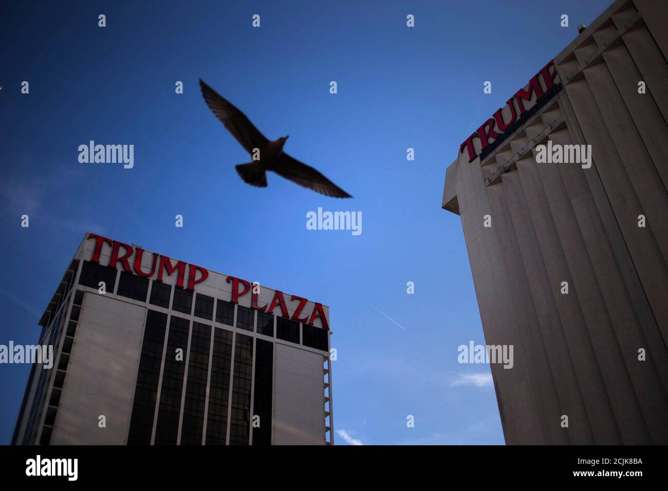 A seagull flies past the Trump Plaza Hotel and Casino, one of two casinos owned by Trump Entertainment Resorts, in Atlantic City, New Jersey on September 15, 2014.  The spread of casino gambling through the northeastern United States, where New York, Pennsylvania and Maine also feature casinos, has taken a heavy toll on New Jersey's Atlantic City, which has seen four casinos close his year, most recently the Trump Plaza, which closed its doors early Tuesday morning. Picture taken September 15, 2014.  REUTERS/Adrees Latif   (UNITED STATES - Tags: BUSINESS SOCIETY) Stock Photo