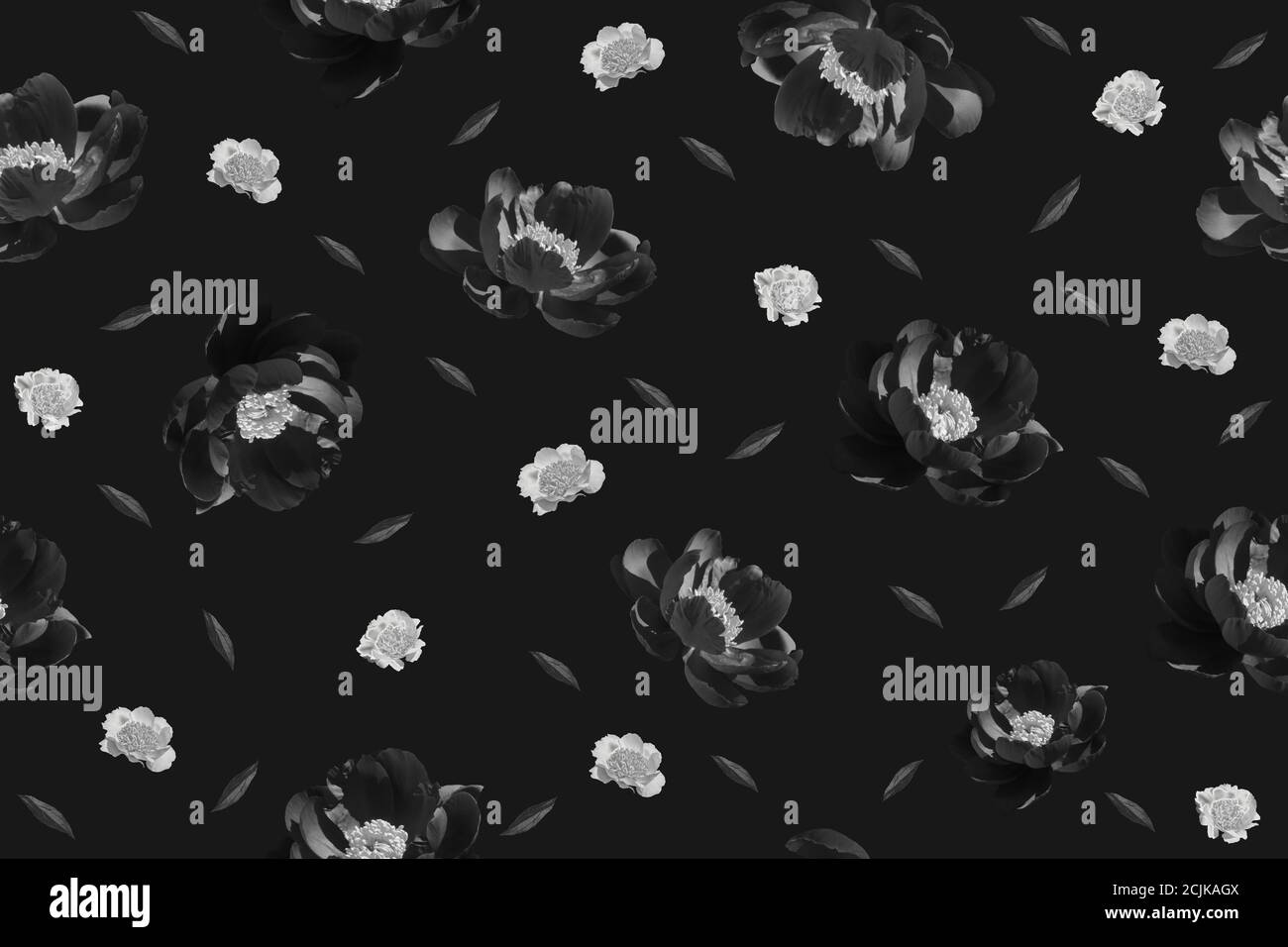 Black and white floral seamless pattern, peonies collage Stock Photo