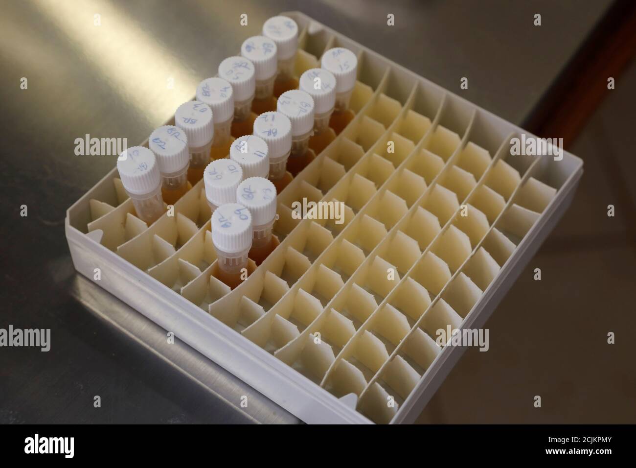Test tubes containing samples of black rhinos' excrements are seen at the Zoology lab of the Maseno University, in Maseno, western Kenya, January 30, 2020. Picture taken January 30, 2020. REUTERS/Baz Ratner Stock Photo