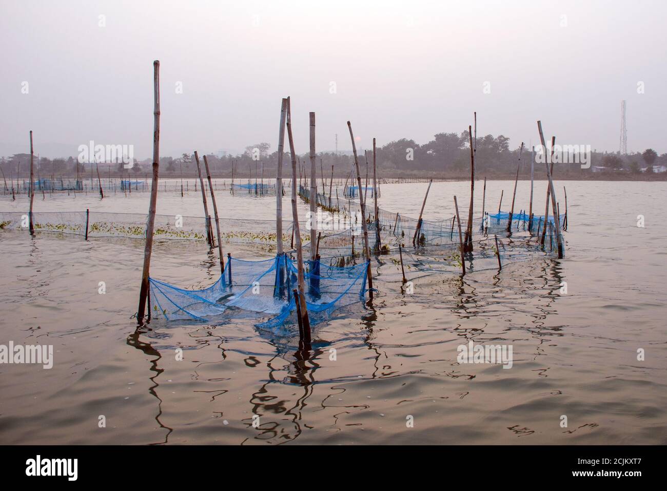 fishing net pattern at rambha odisha india Stock Photo Alamy