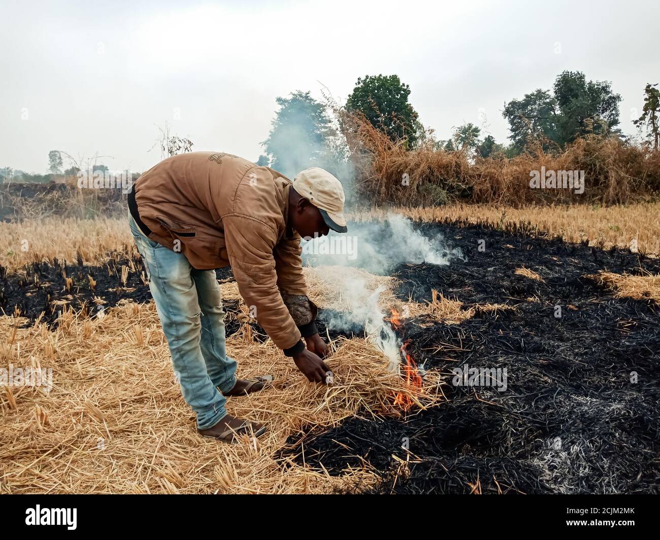 DISTRICT KATNI, INDIA OCTOBER 06, 2019 An indian farmer burning fire at dry wheat grass field
