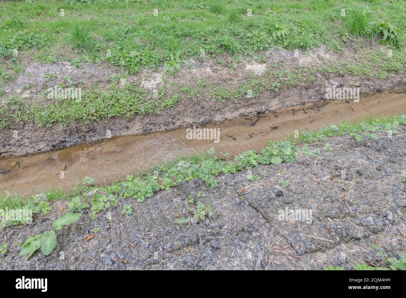 Free-flowing agricultural field drain recently cleaned and cleared of aquatic weeds. For land management, water run-off management, flood control. Stock Photo