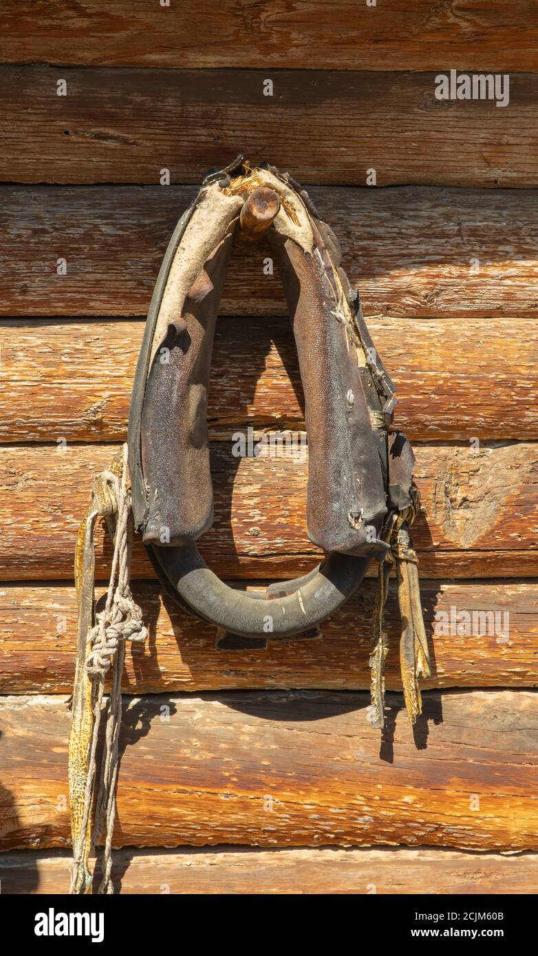 old horse collar on a log wall. main part of the harness put on the