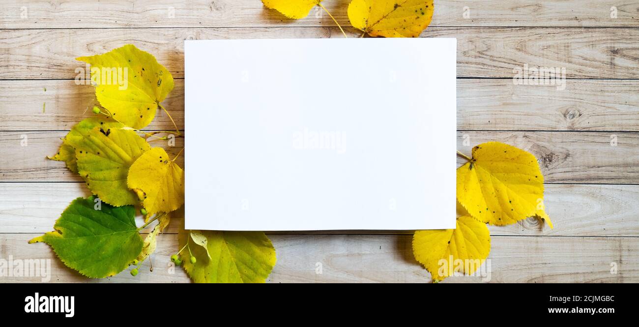 Yellow leaves autumn wooden background white blanc paper copy space Stock Photo