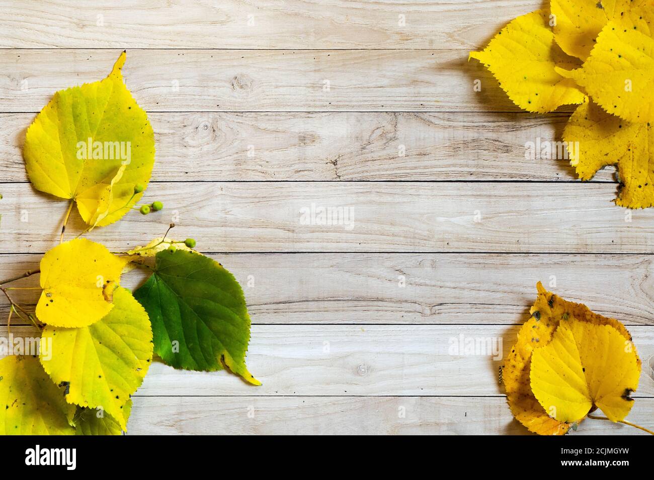 Yellow leaves autumn wooden background white blanc paper copy space Stock Photo