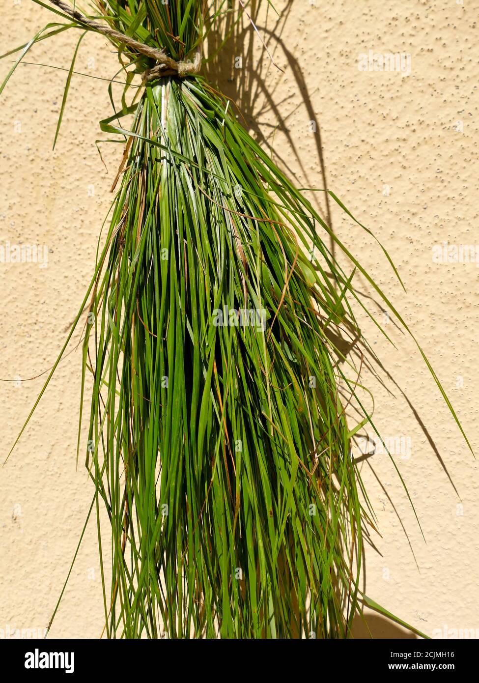 sweet grass, a bundle of herbs Stock Photo
