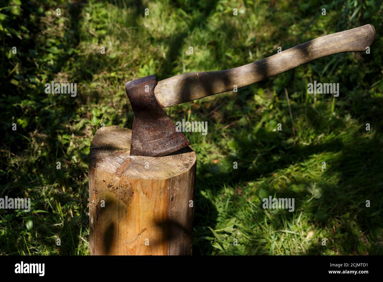 Ax stuck in the stump. An iron ax with a wooden handle stuck in a spruce log. Stock Photo