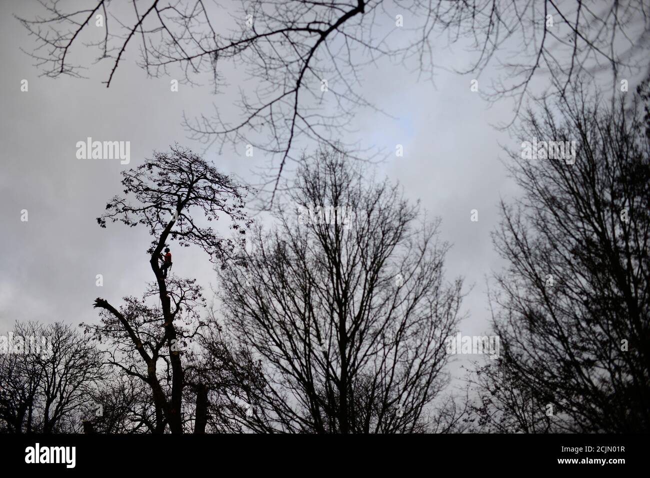Arborist silhouette hires stock photography and images Alamy