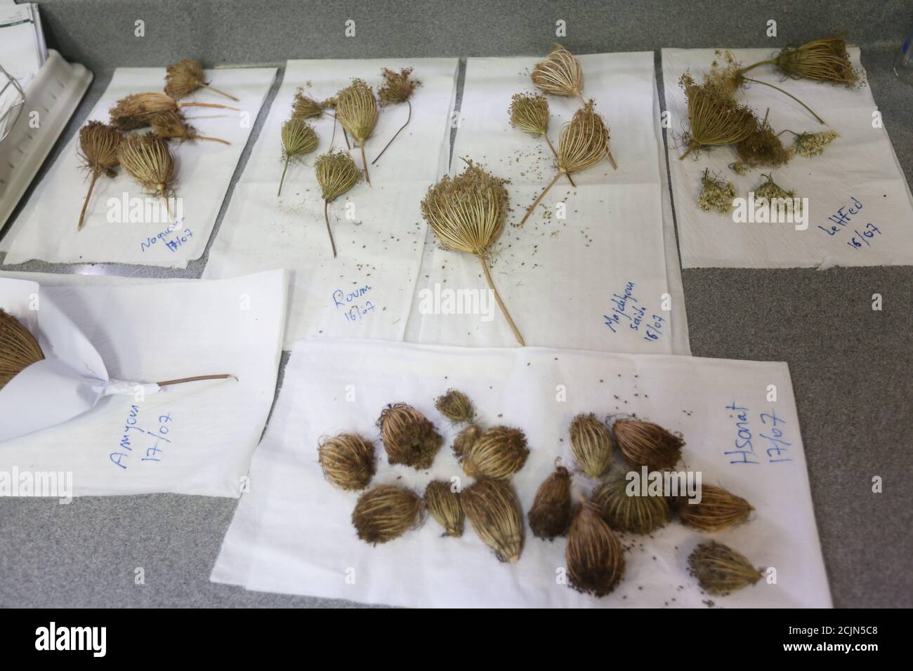 Medicinal technology hires stock photography and images Alamy