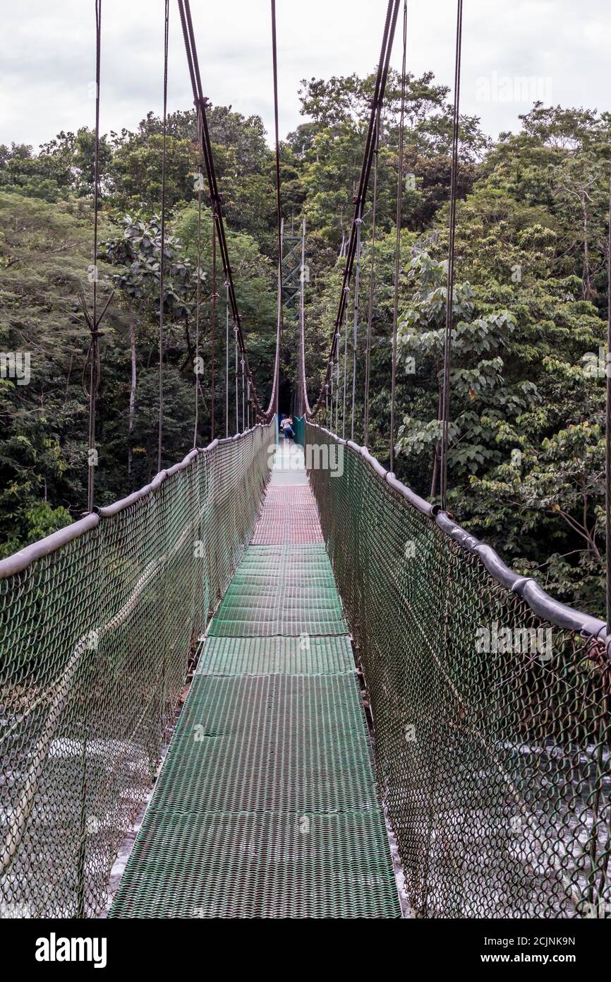 Sarapiqui adventure suspension Bridge Canopy Tours in the rain forest, Atlantic zone of Costa Rica. Stock Photo