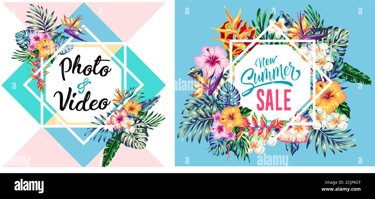 tropical collection with exotic flowers and leaves vector design ...