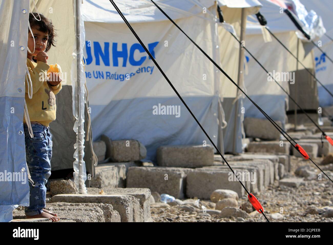 A Syrian girl who was displaced by the Turkish military operation in  northeastern Syria, carries a box of food supplies at the Bardarash refugee  camp, north of Mosul, Iraq, Thursday, Oct. 17,