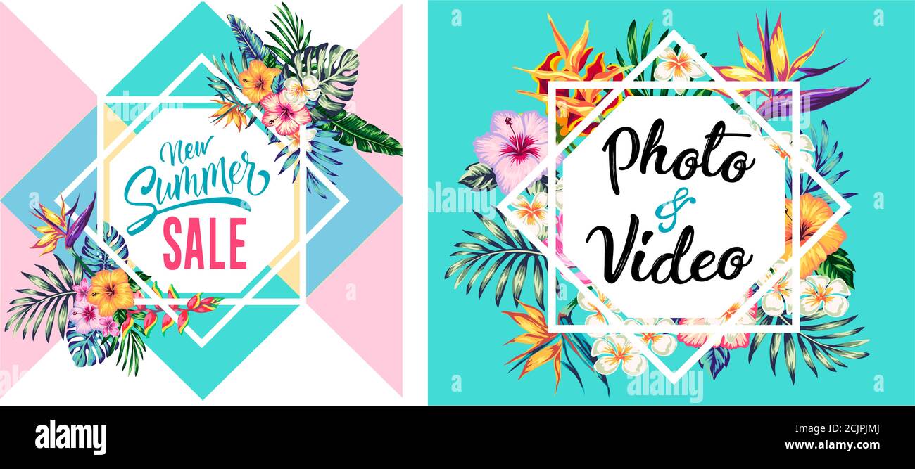 tropical collection with exotic flowers and leaves vector design ...