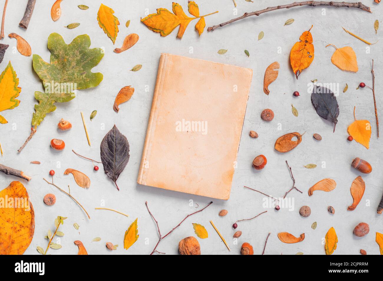 Vintage book cover mock up with autumn decoration, flat lay top view copy space Stock Photo