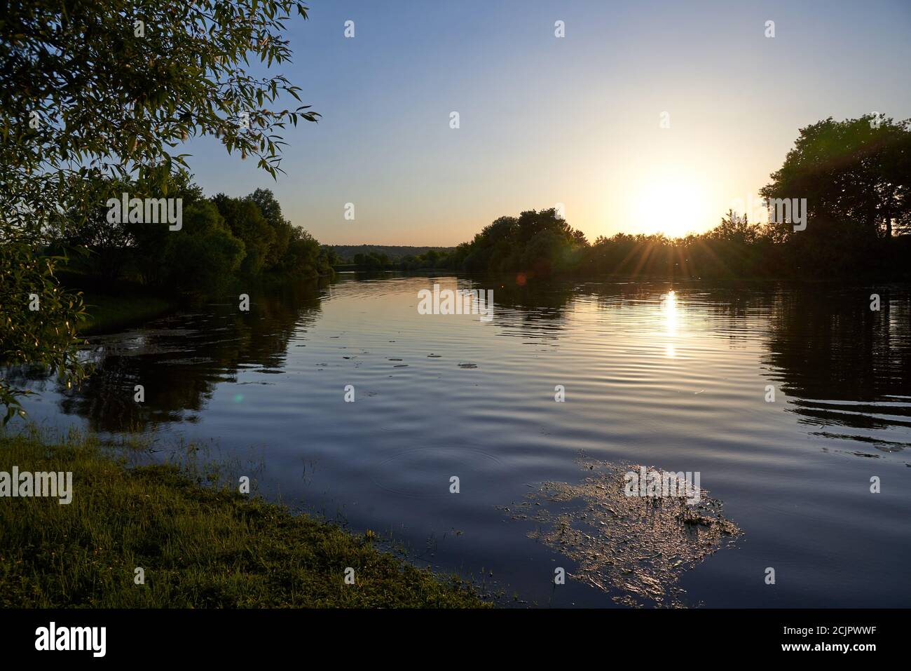A quiet river polluted by algae at sunset on a summer evening. Stock Photo