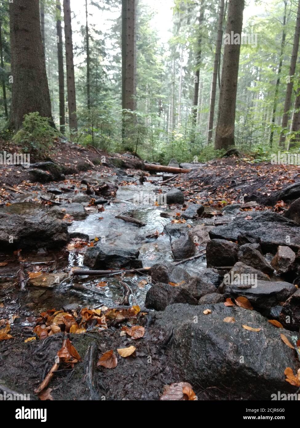 Vertical shot of a freshwater stream flowing through a very rocky path ...