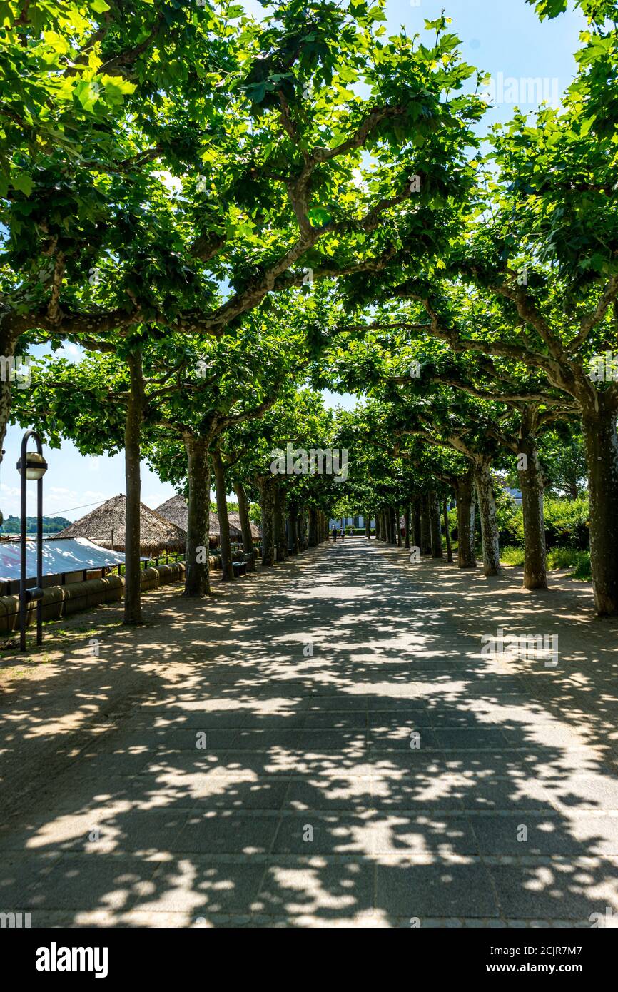 Vertical shot park footpath hi-res stock photography and images - Alamy