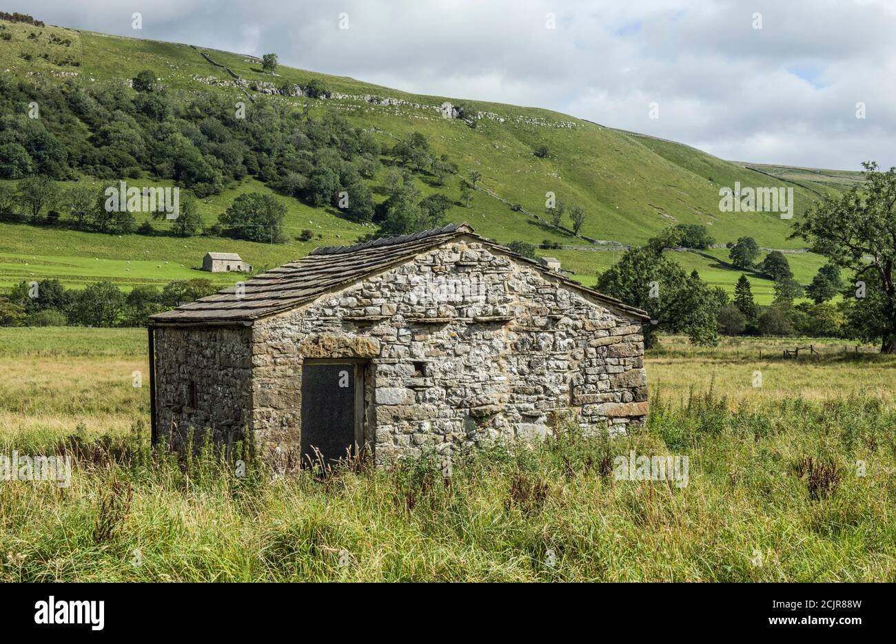 A Wharfedale barn in Upper Wharfedale in the Yorkshire Dales National Park, near the beautiful village of Buckden. Dales barns really add to the views Stock Photo