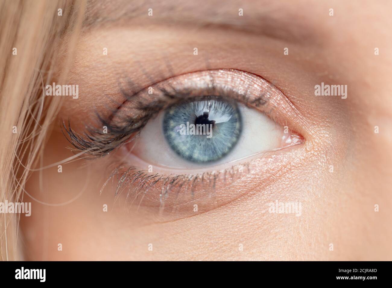 macro image of beautiful blue eye. optic, vision, sight, beauty concept.eye like glass, ice