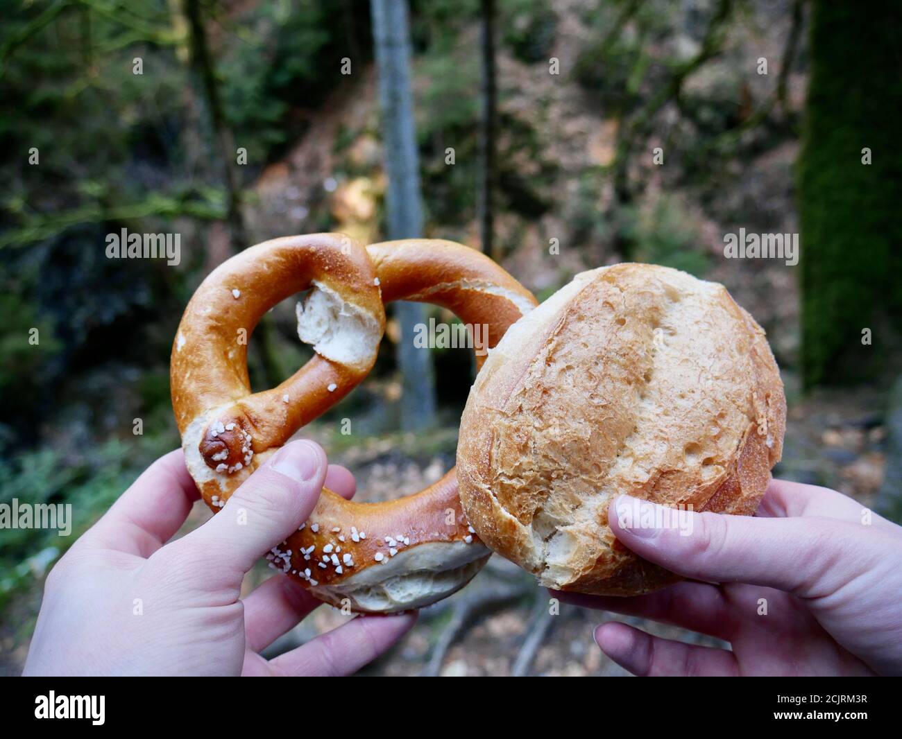 Bayrisches Frühstück beim wandern im Schwarzwald. Pause beim wandern im wunderschönen Wald. Stock Photo