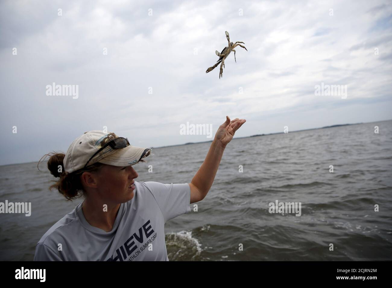 Heggie High Resolution Stock Photography and Images Alamy