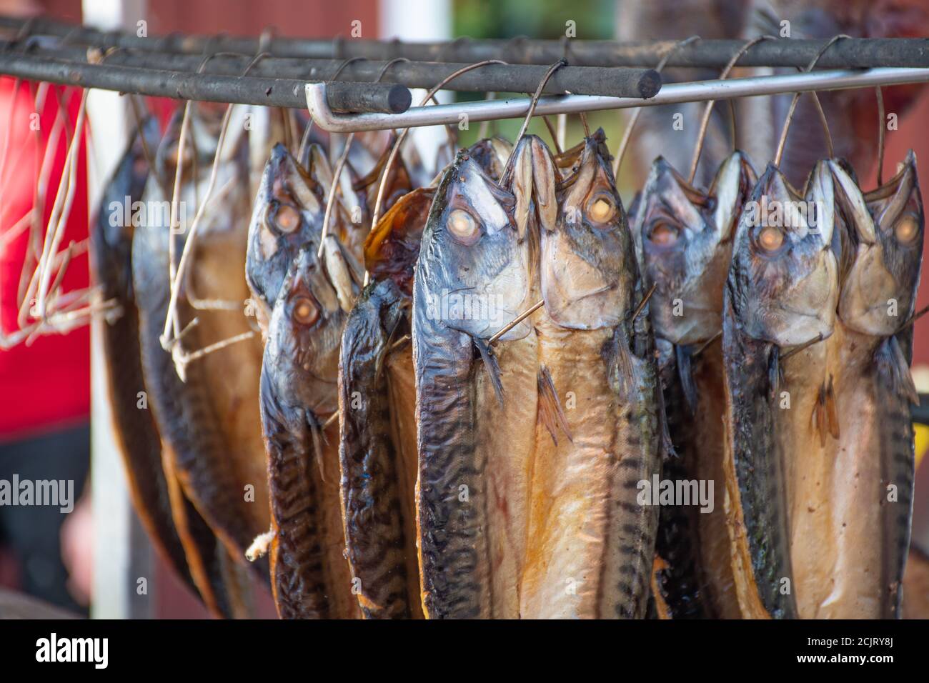 Dry smoked spiced mackerel fish in a fish market, ready to eat Stock
