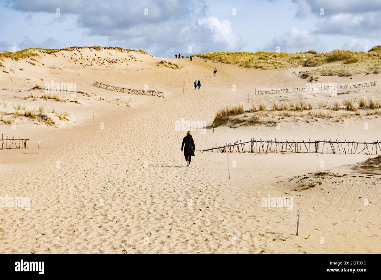 Tourists in wonderful Nagliai Nature Reserve in Neringa, Lithuania. Dead dunes, sand hills built by strong winds, with ravines and erosion Stock Photo