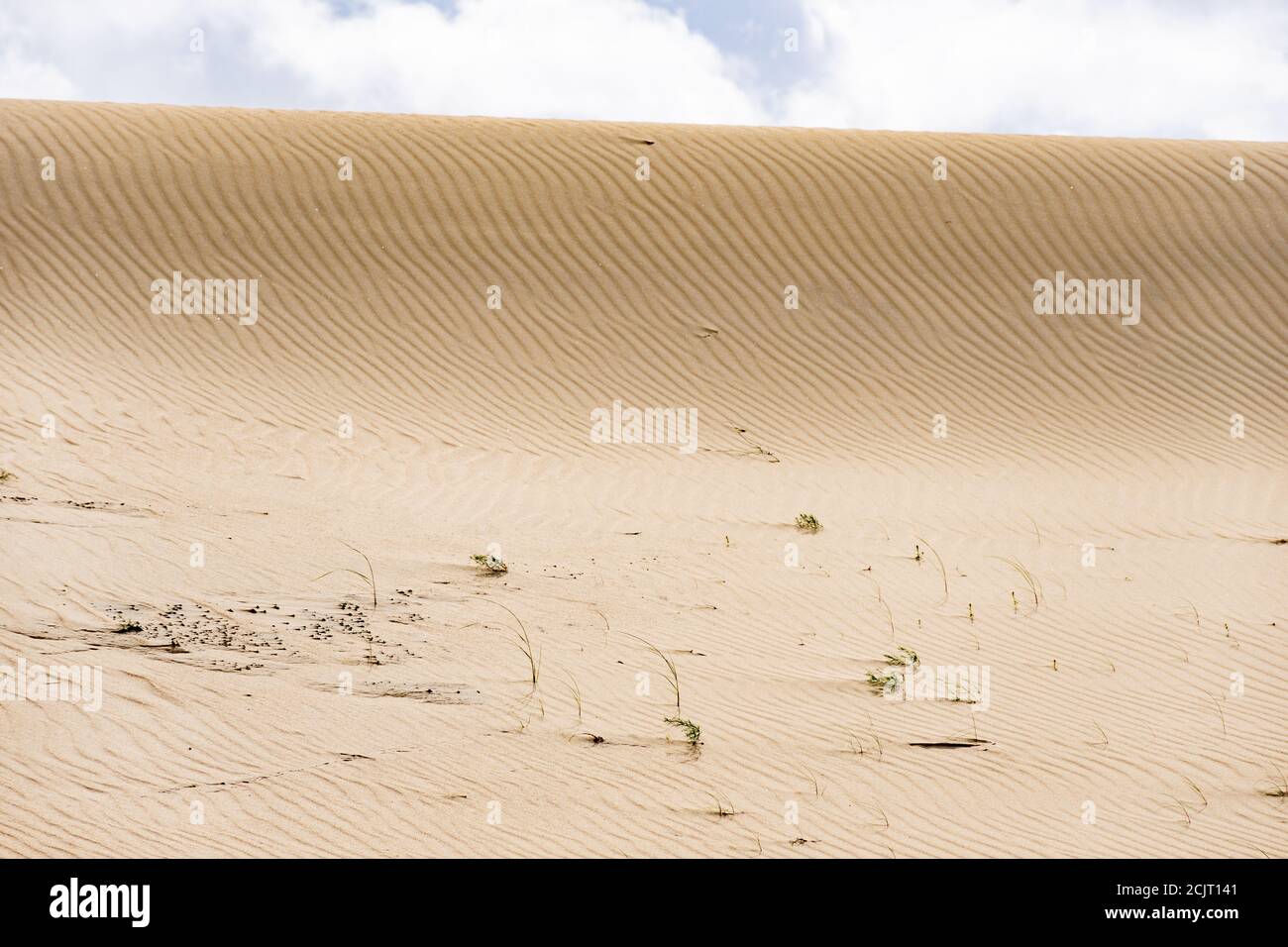 Wonderful desert sandy dune Stock Photo