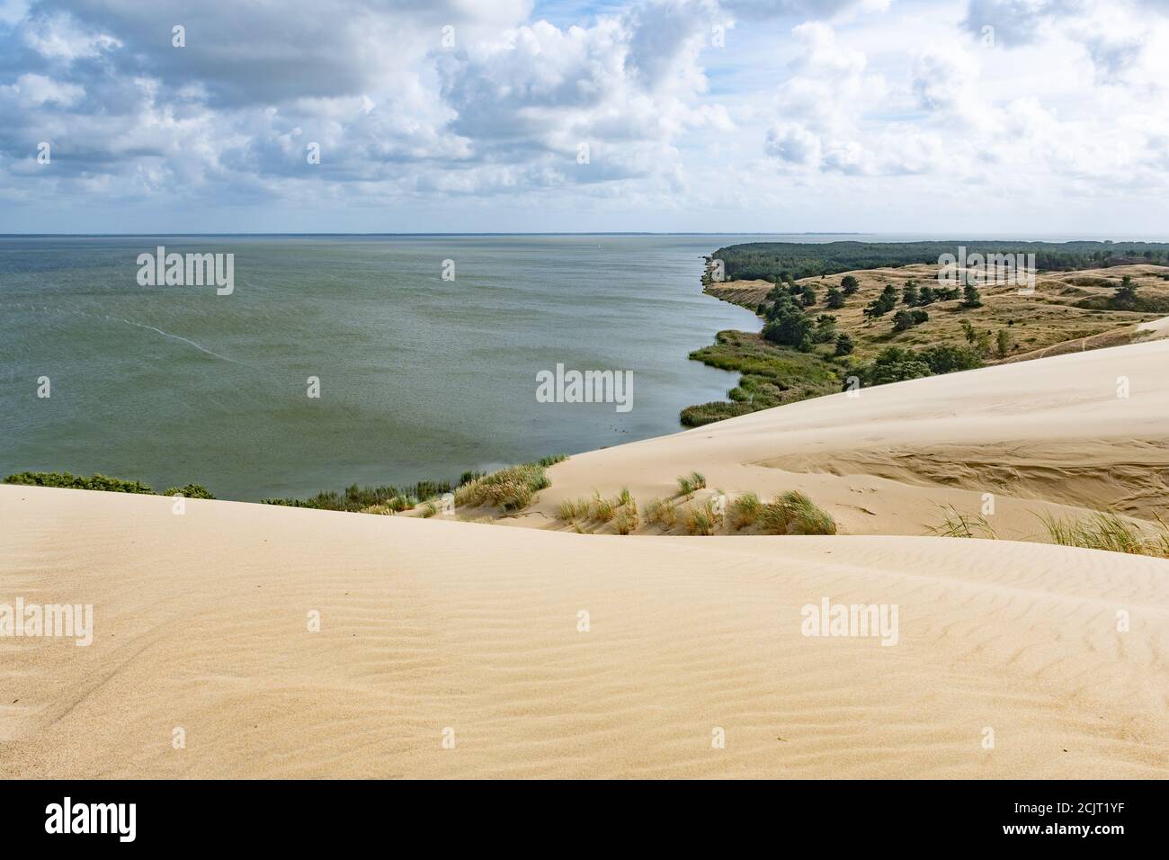 Nagliai Nature Reserve in Neringa, Lithuania. Dead dunes, sand hills built by strong winds, with ravines and erosion. Any human activity is prohibited Stock Photo