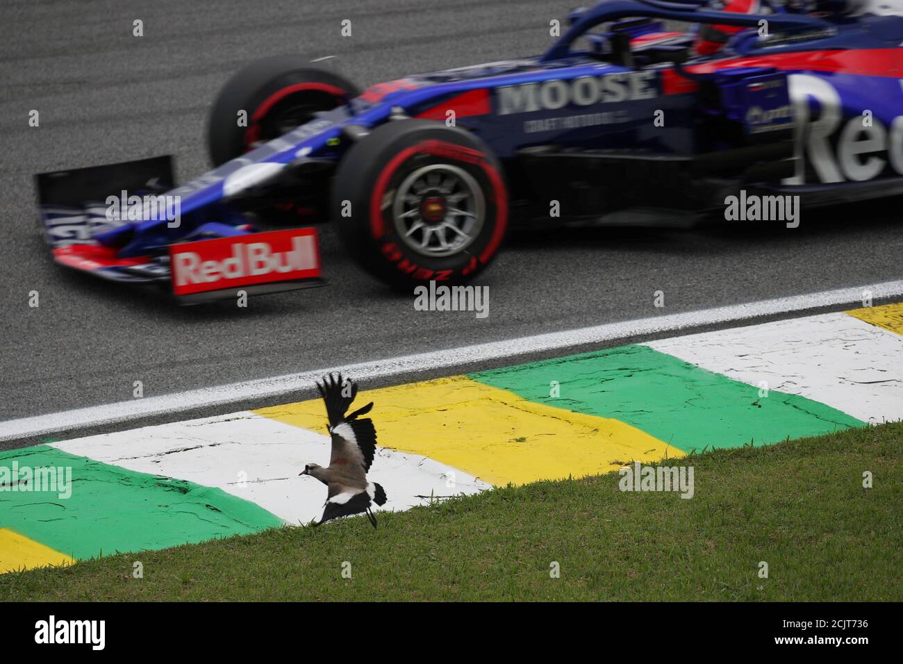 interlagos qualifying