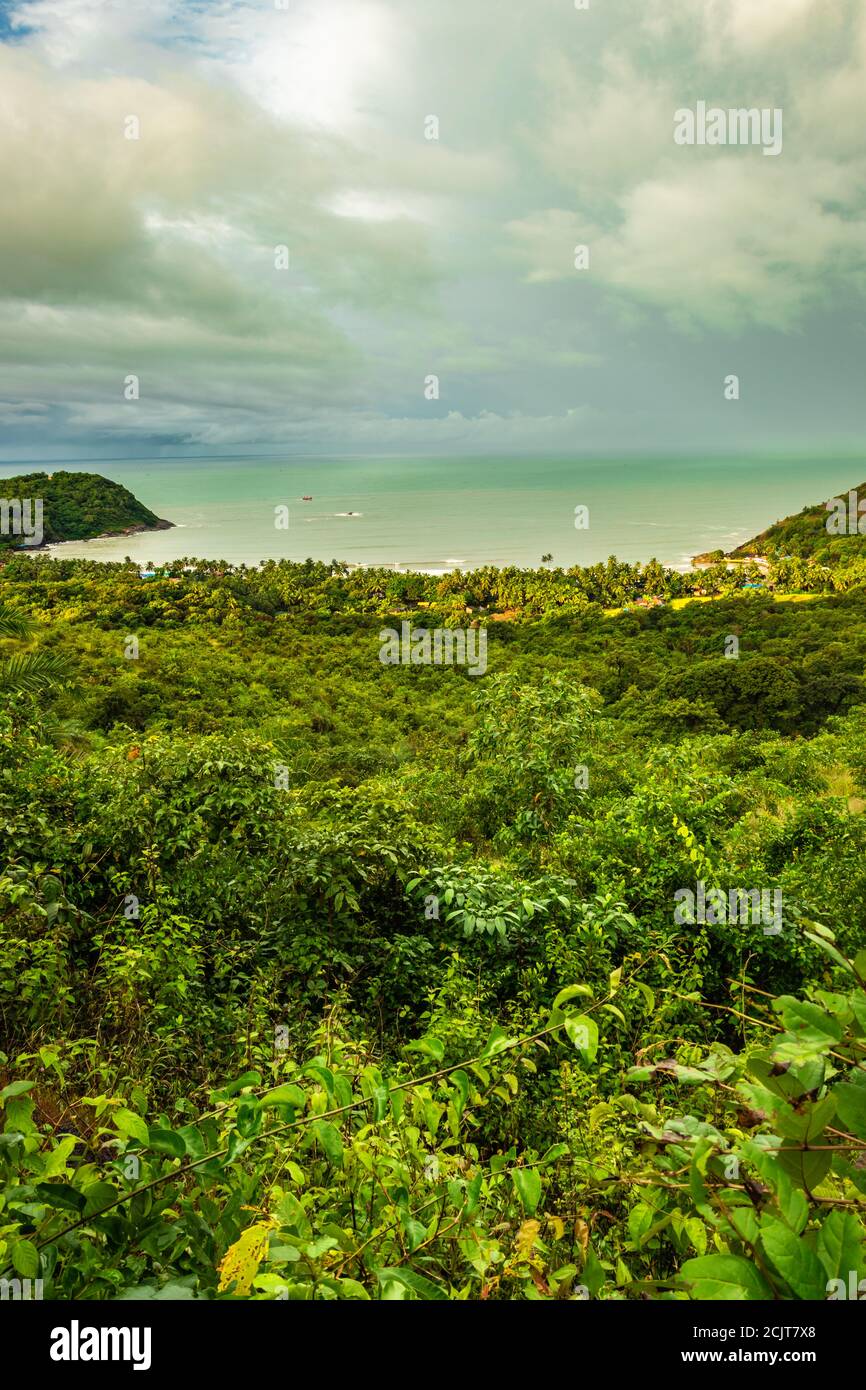 landscape serene view with sea horizon and dense green forests image is
