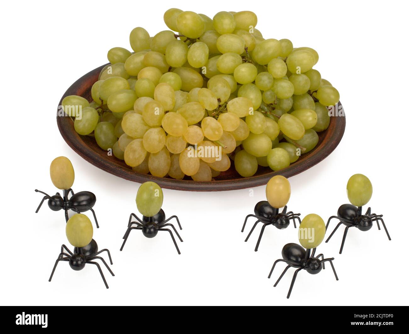 A bunch of green grapes on a brown plate, funny ants Stock Photo Alamy