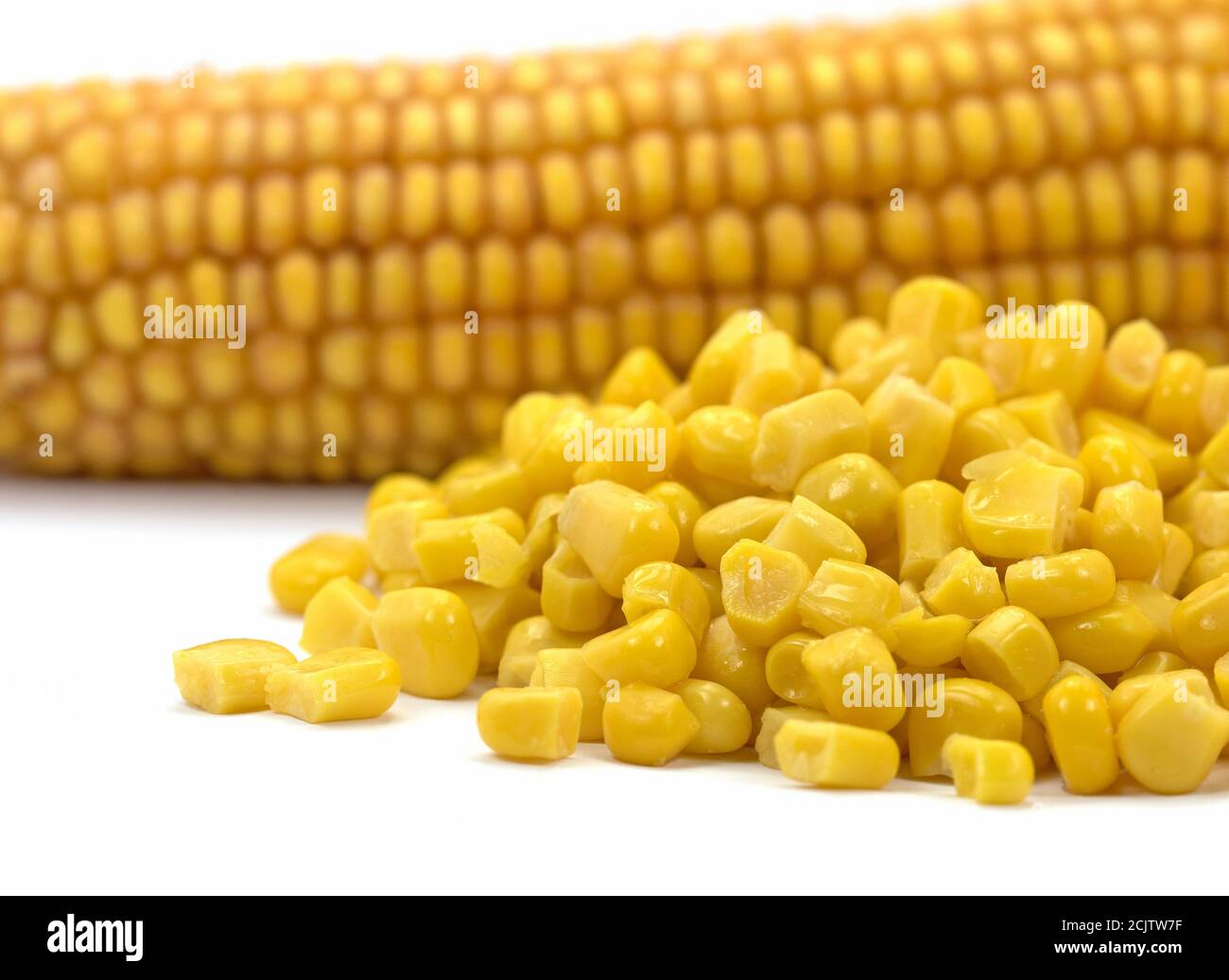 Corn kernels and corn on the cob against a white background Stock Photo