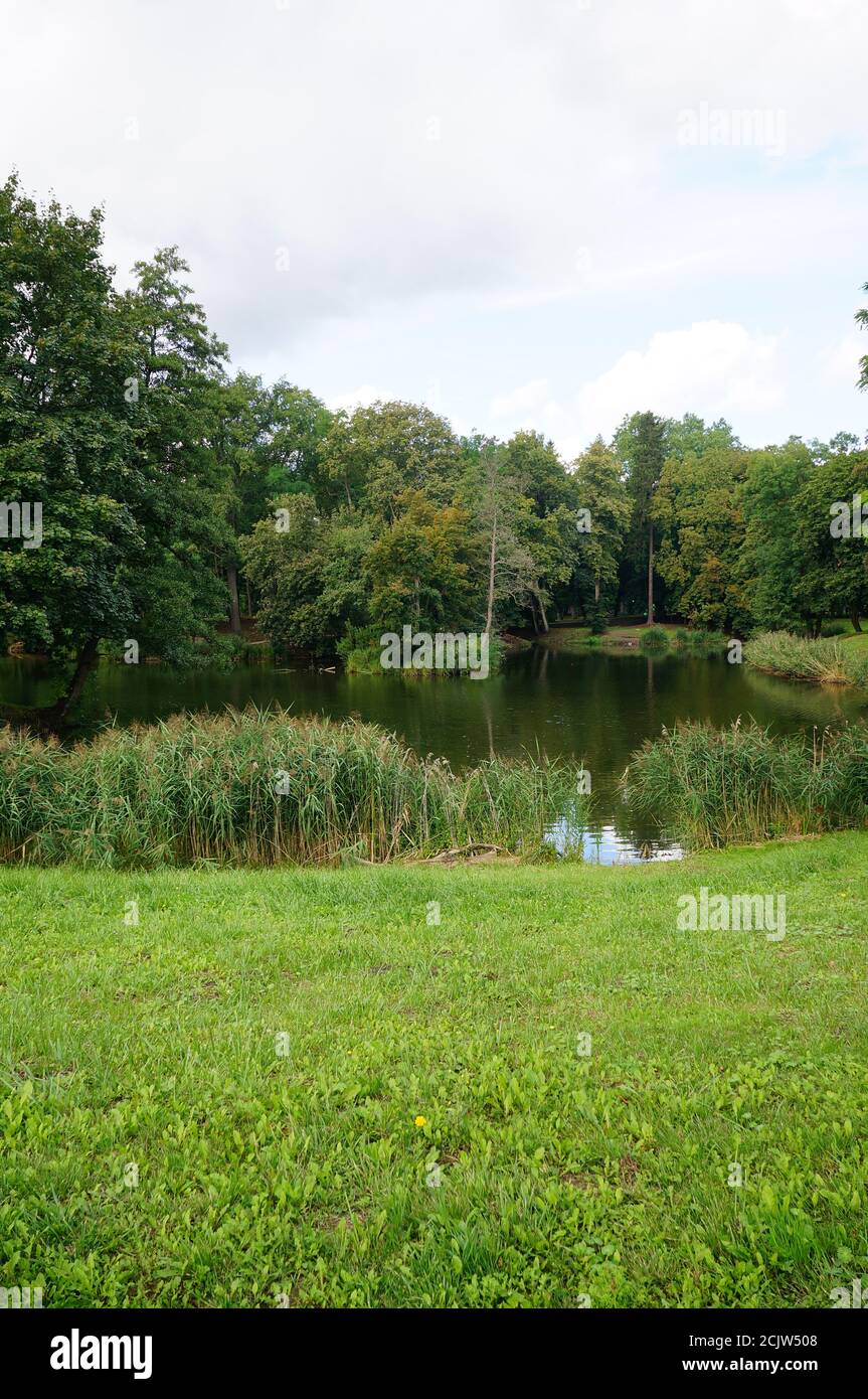 Beautiful scenery of a park by the lake surrounded by trees Stock Photo ...