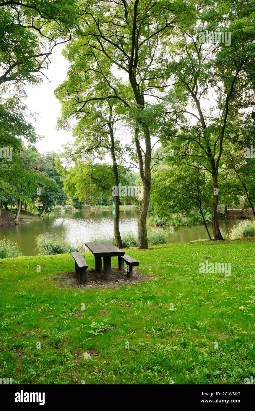 Beautiful green park near the lake with a bench surrounded by trees ...