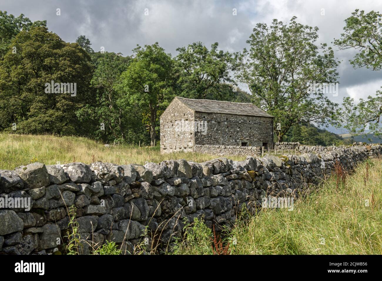 A Dales Barn on the footpath through the Dales Way in the Yorkshire Dales National Park. Many barns have been left to crumble but others rebuilt. Stock Photo