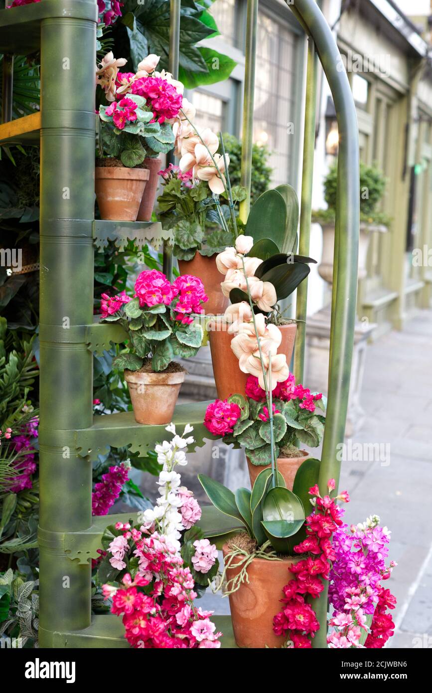 The Ivy Chelsea Garden, 197 King's Rd, Chelsea, London SW3 5EQ Stock Photo