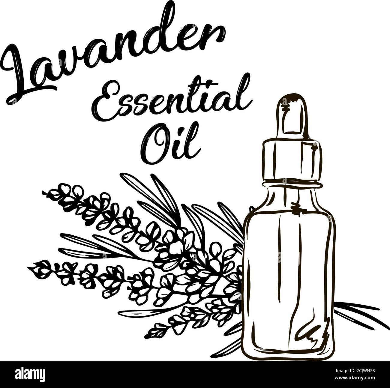 Lavander essential oil bottle and bunch of flowers hand drawn vector  illustration. Isolated drawing for Aromatherapy treatment, alternative  medicine Stock Vector Image & Art - Alamy