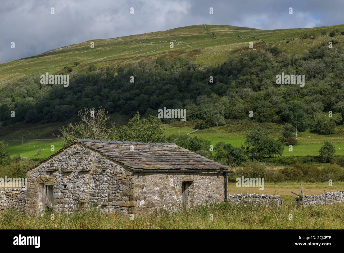 A Dales Barn in Upper Wharfedale near the village of Buckden in September in the Yorkshire Dales. Behind is the bulk of Buckde Pike. Stock Photo