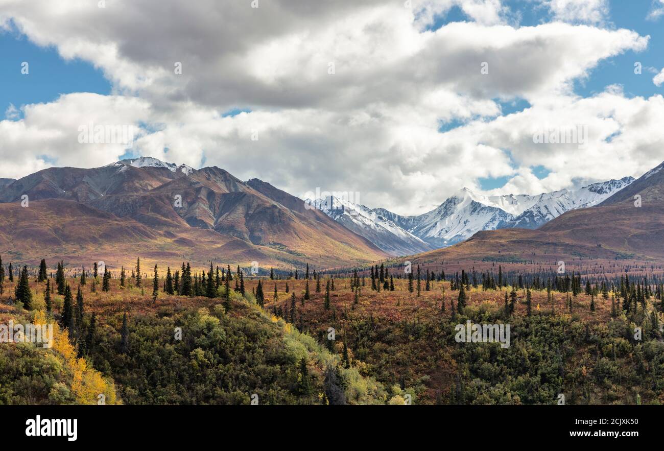 Autumn colors adorn the taiga and tundra along the Chugach Mountains in Southcentral Alaska. Stock Photo