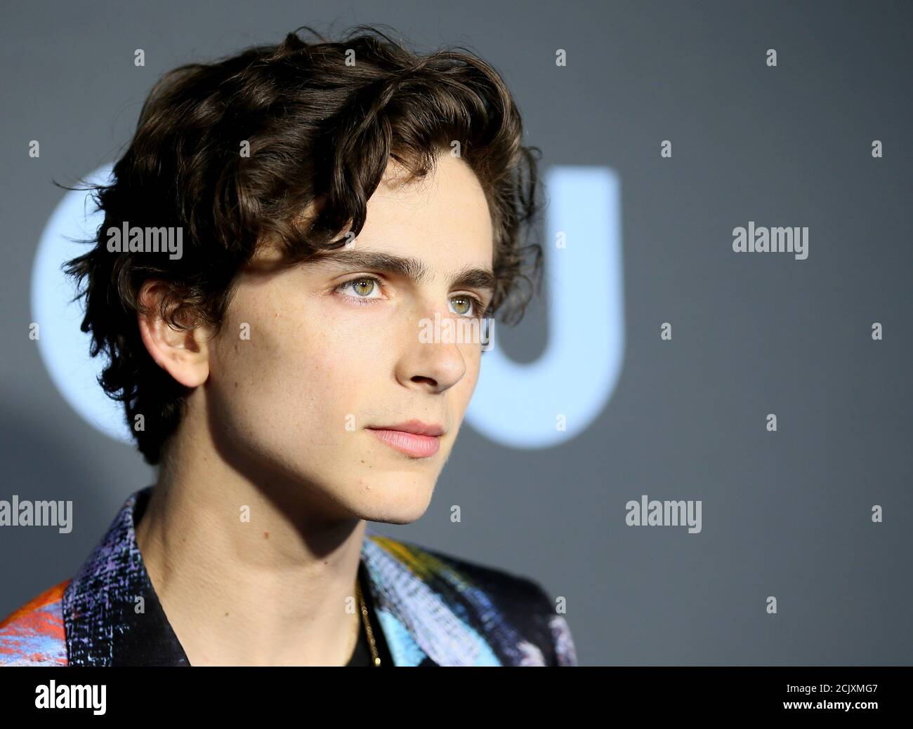 Timothee chalamet hi-res stock photography and images - Alamy