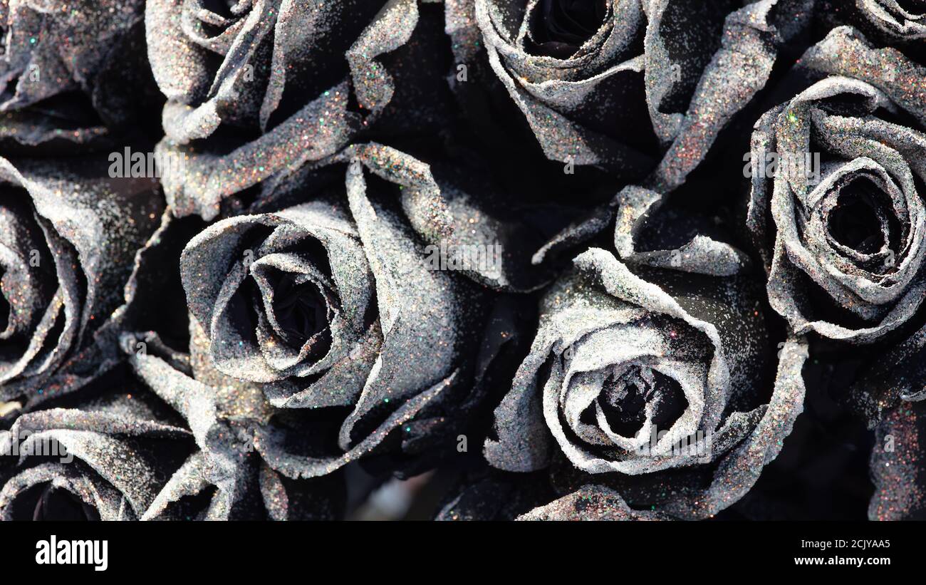 Black roses background with wihte glitter Stock Photo - Alamy