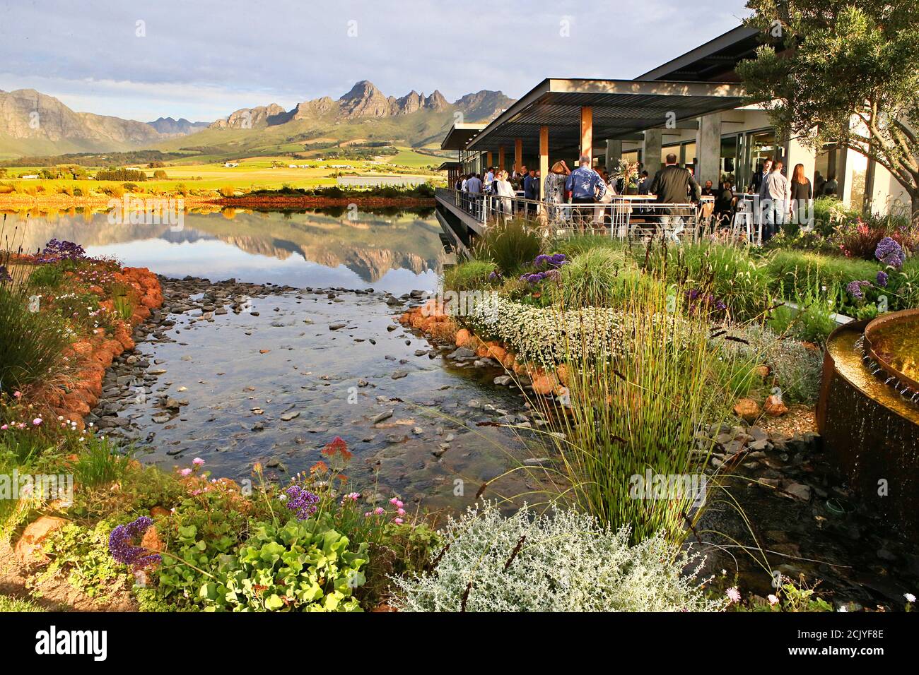 cavalli-wine-estate-stellenbosch-south-africa-stock-photo-alamy