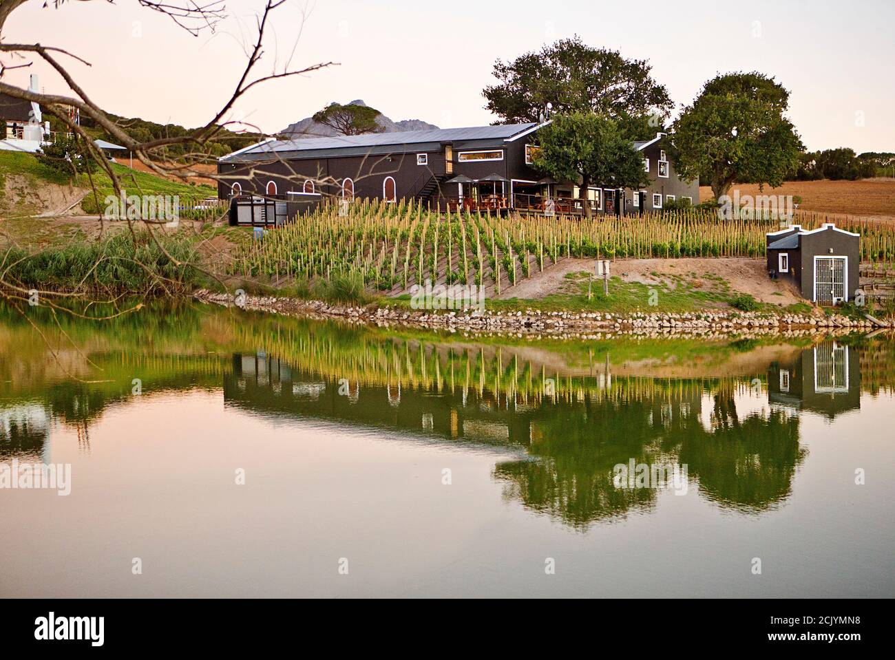 Aaldering Wine Estate, Stellenbosch, DEvon Valley, South Africa Stock