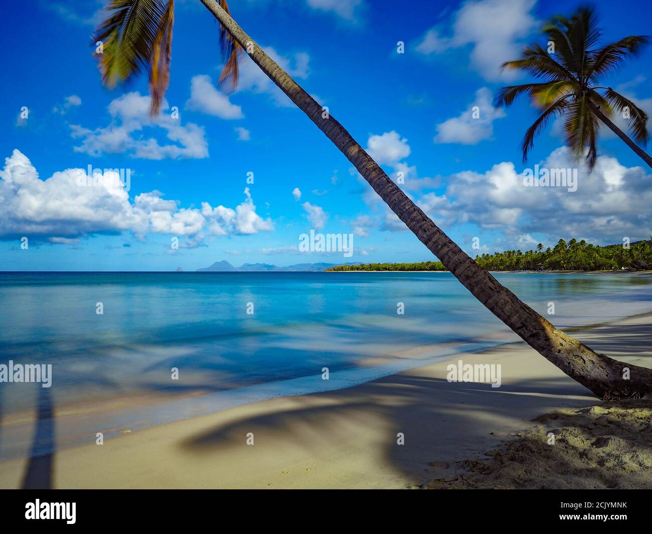 The Plage des Salines, located on the Grande Anse des Salines, is a beach in the town of Sainte-Anne, in Martinique. The Salines beach is very popular. Stock Photo