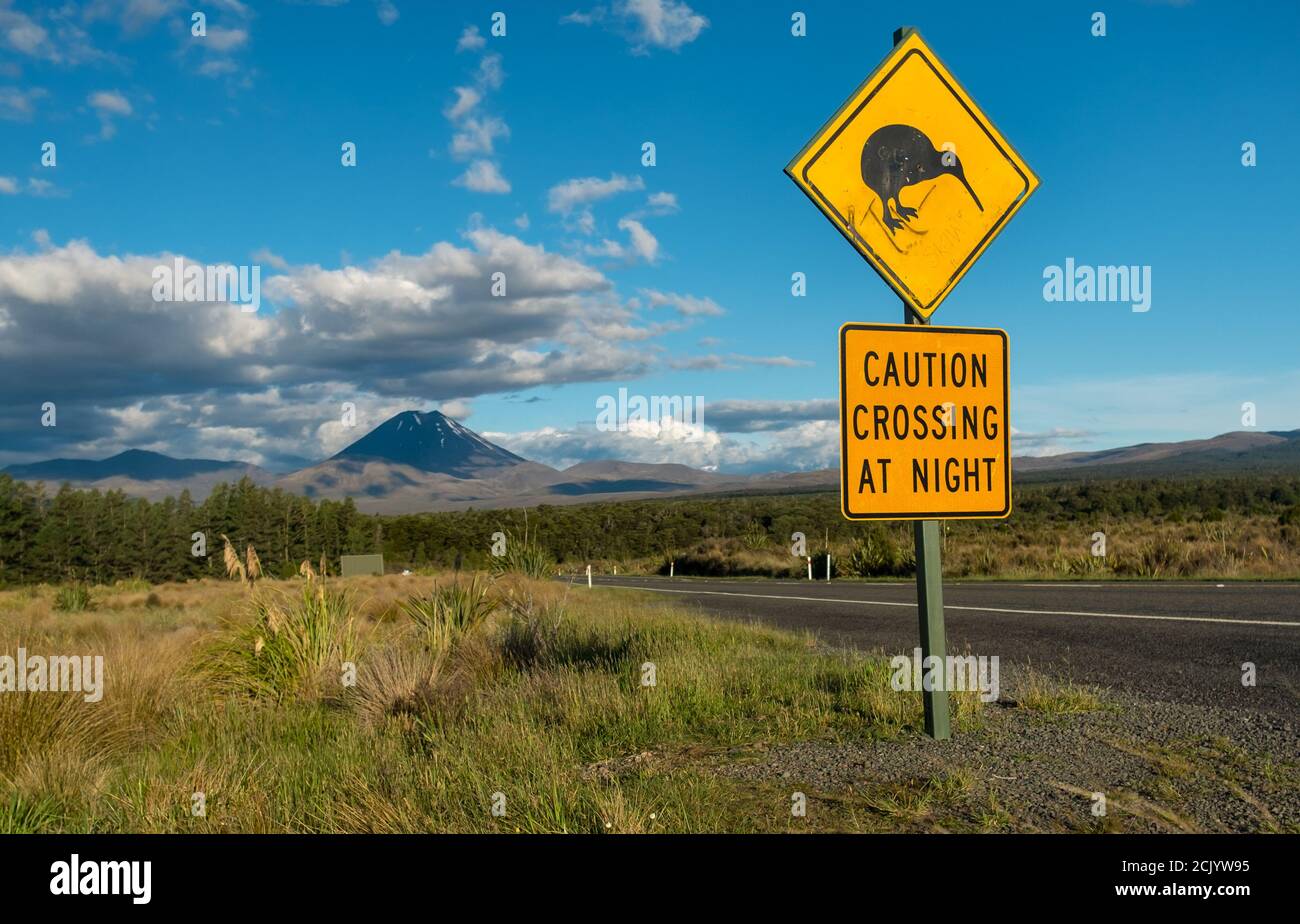 Kiwi crossing road sign with Mt Ngauruhoe (aka Mt Doom) towering in the distance. Stock Photo